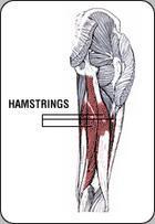 Hamstring blessure Hamstring blessure