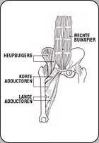 Liesblessure Liesblessure