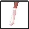 Strassburg Sock (nachtspalk)